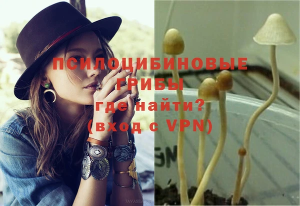 гидропоника Нея