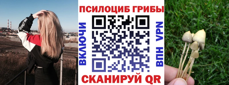 площадка официальный сайт  Чегем  Галлюциногенные грибы ЛСД 