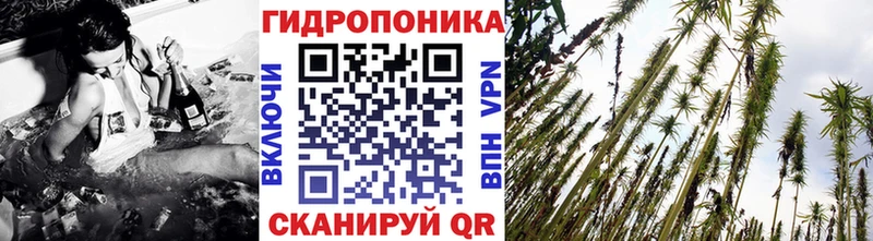 Марихуана тримм  Чегем 